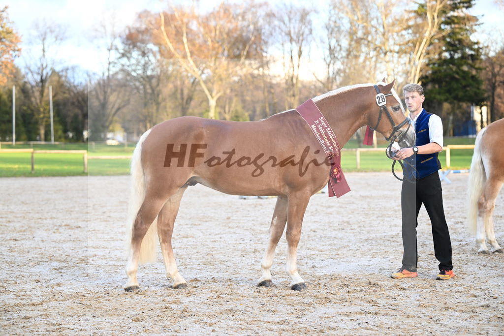 Kat-Nr. 28 Napoleon v. Nakuri_Lechner_60221846 | hf-fotografie - Realisiert mit Pictrs.com