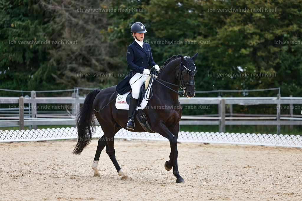 8_1-077-Klasse S_  -StoibPH-3810 | working equitationturnier fotograf videograf stoibphotography marixx film working equitation deutschland reitsport turnierfotografie eventfotografie equestrian events
