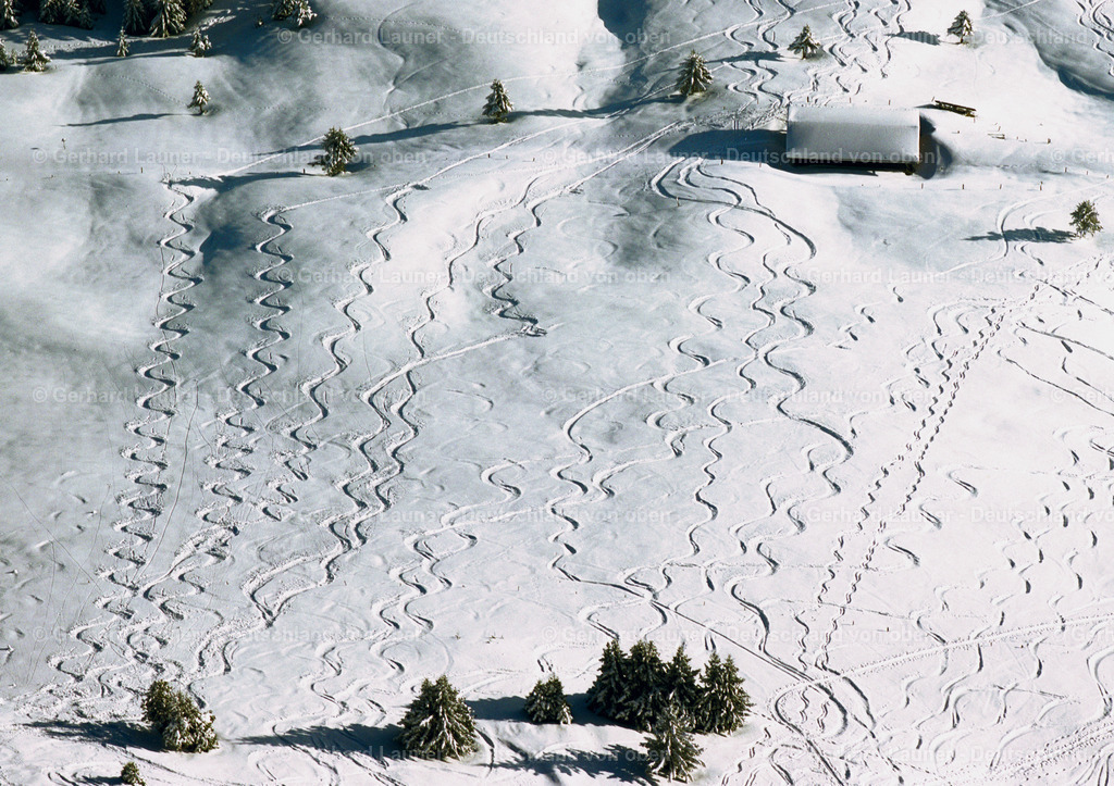 7000380 | Tiefschneefahren in den Allgäuer Alpen