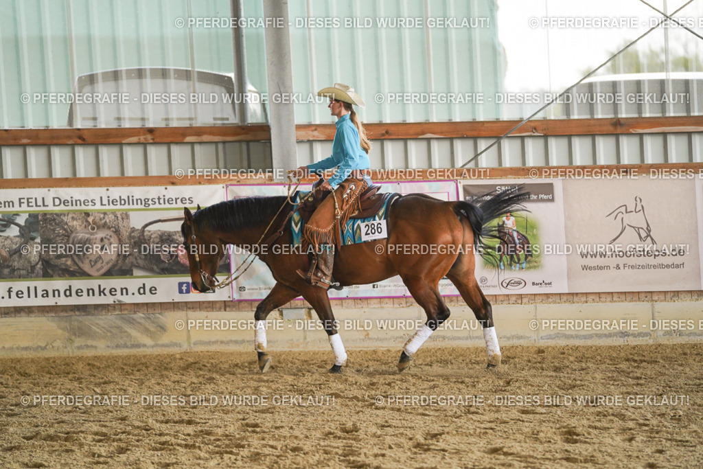 DSC07750 | Pferdegrafie