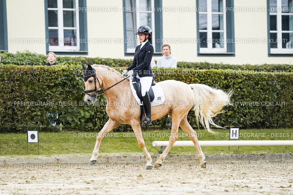 DSC06705 | Pferdegrafie