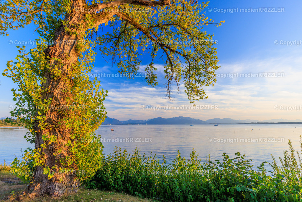 _J3A8439 | medienkrizzler - Realisiert mit Pictrs.com