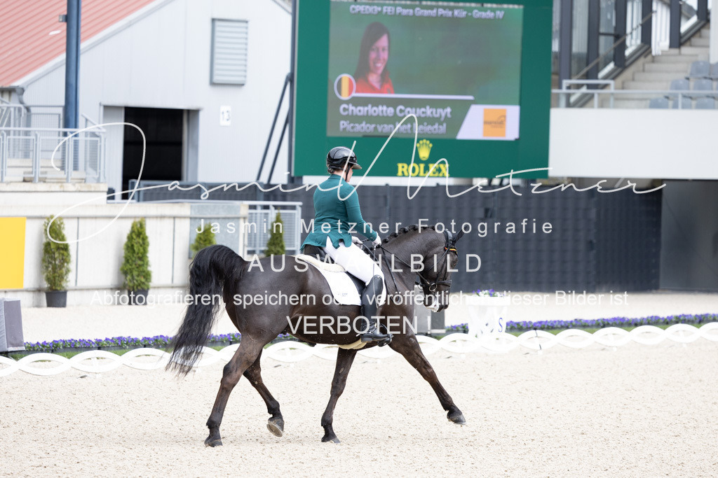 126A1371 | jasminmetznerfotografie