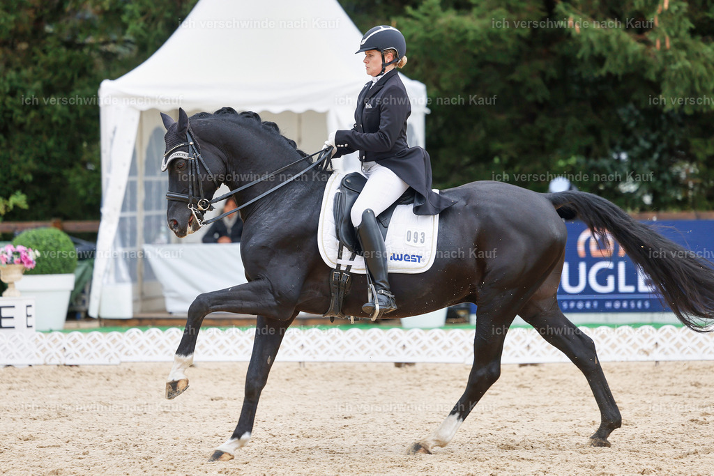 07-093-DRESSUR  S___  -StoibPH-5031 | working equitationturnier fotograf videograf stoibphotography marixx film working equitation deutschland reitsport turnierfotografie eventfotografie equestrian events