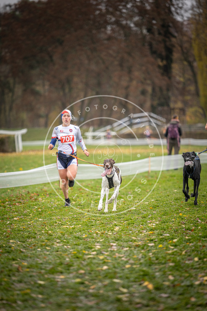 CaniXpix_DV3A9094 | Hundefotografie, Tierfotograf, Pfotenfotografie, Fotoshooting Hund, Hunde Portrait, Hundesport, Hundeportraits, Heideshooting, Hunde, Sportfotograf, Hundefotograf, Turnierhundsport, THS,  - Realisiert mit Pictrs.com