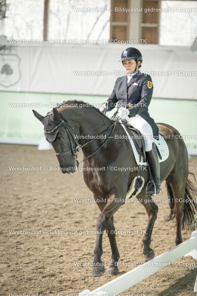 _D5A1556 | Emotionale Pferde- & People-Fotografie rund um Heidelberg, Leimen & Umgebung. Natürliche Fotos von Pferd, Mensch & Familie. Jetzt Termin sichern!