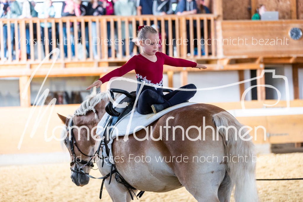 SS-Mini-101 | MomenTaufnahmen Pferdesportfotos