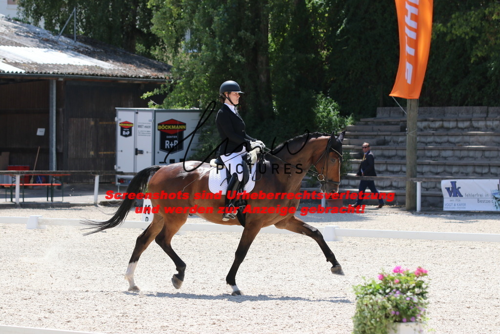 IMG_4885 | lmwpictures - Realisiert mit Pictrs.com