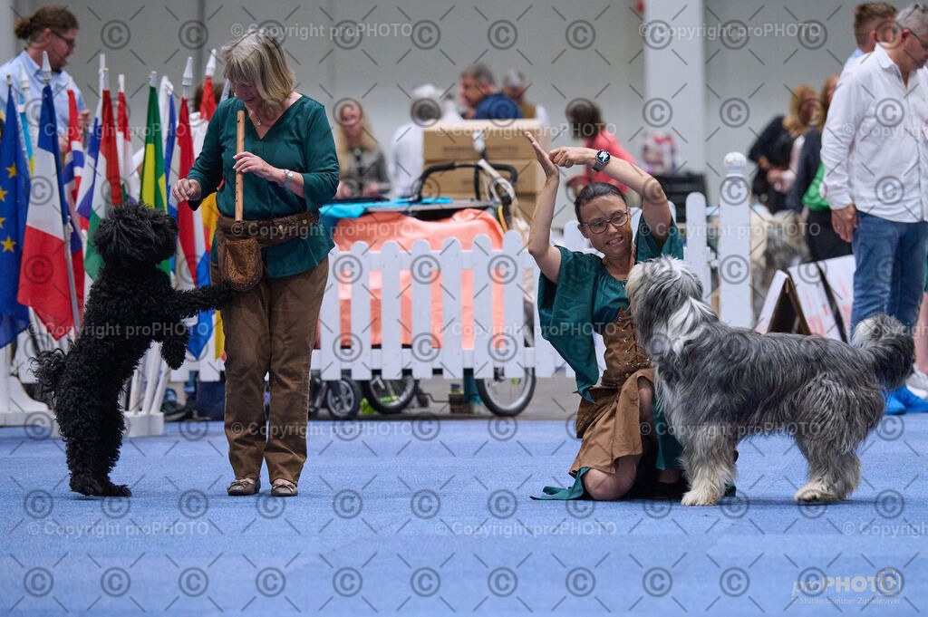 202406_ÖKV-IHA-Tulln24_DSC_3277 | proPHOTO - Realisiert mit Pictrs.com