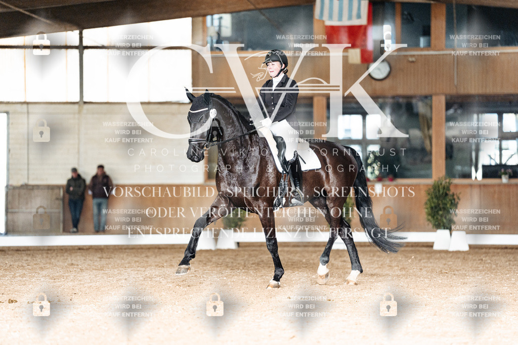 CK902855 | Turnierfotografie Pferdefotografie Trier Rheinland-Pfalz Pferdesport Reitsport Tierfotografie Sportfotografie Pferdevideo Pferdevideografie Equestrianvideography equestrianphotography  - Realisiert mit Pictrs.com