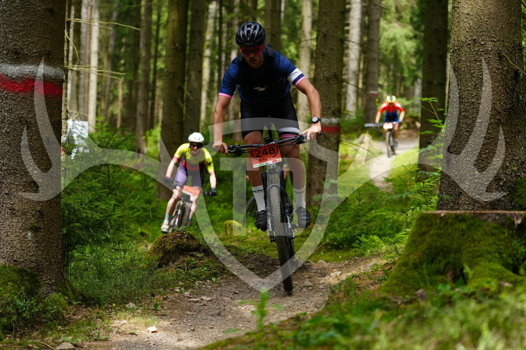 FC100343 | Fotogalerie der Treibjagd im Dunkelwald - Dein MTB Etappenrennen im Erzgebirge - Realisiert mit Pictrs.com