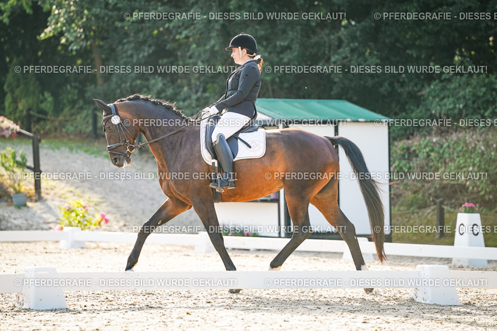 DSC07999 | Pferdegrafie