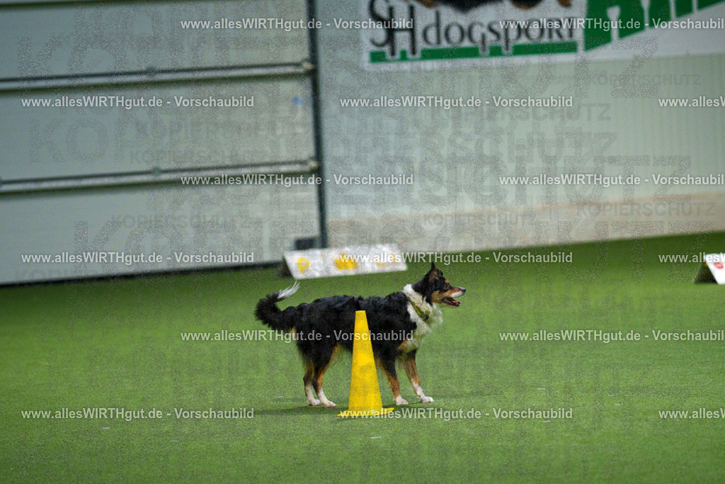 7R508165 | Professionelle Tierfotografie in Mönchengladbach von Daniel Wirth (allesWIRTHgut). Liebevolle & natürliche Bilder von Hunden & Katzen für unvergessliche Erinnerungen.