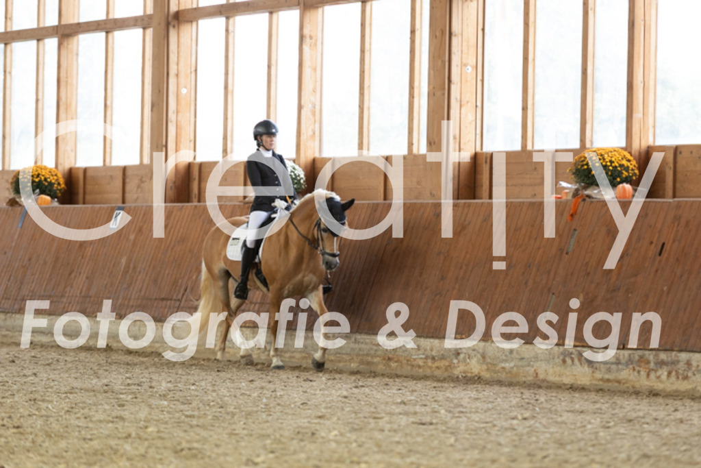 IMG_5871 | Creatify Fotografie