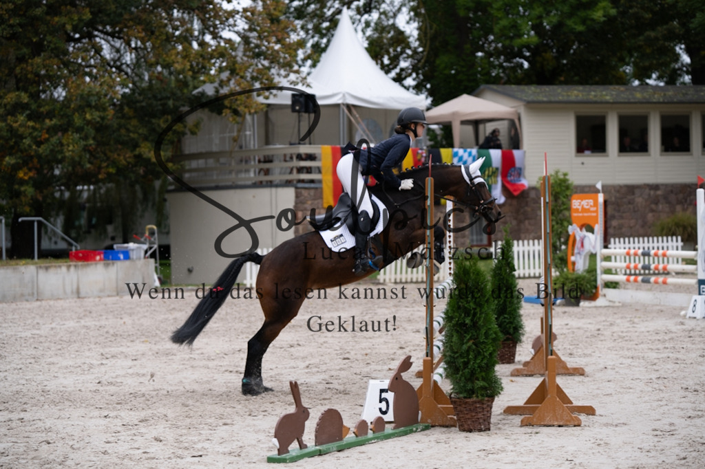 A7V08067 | Pferdefotograf