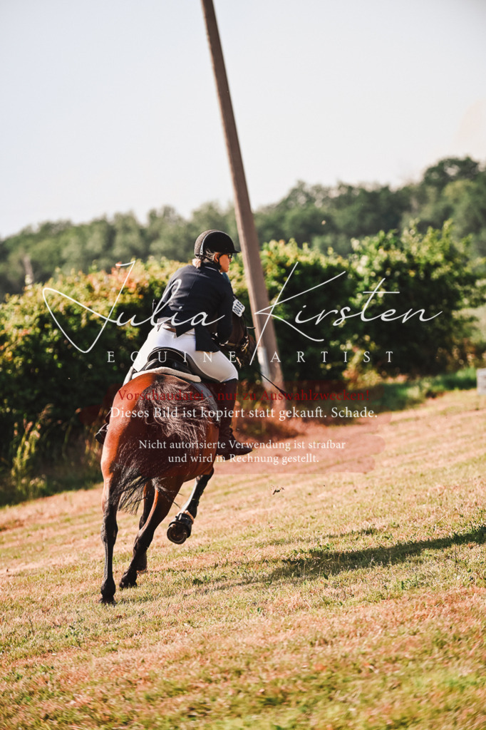 DSC_7373 | Pferde- und Turnierfotografie in Westsachsen. Pferdeportraits, Auftragszeichnungen und intuitive Kunst.