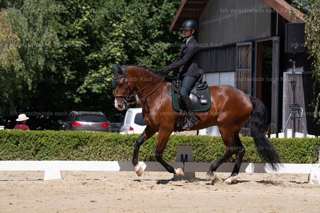__105_sinafilmart_IN07955 | working equitationturnier fotograf videograf stoibphotography marixx film working equitation deutschland reitsport turnierfotografie eventfotografie equestrian events