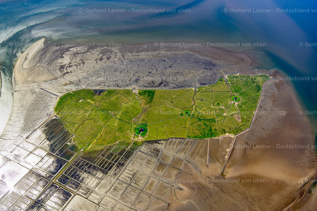 3801623 | Hallig Nordstrandischmoor, Nationalpark Schleswig-Holsteinisches Wattenmeer