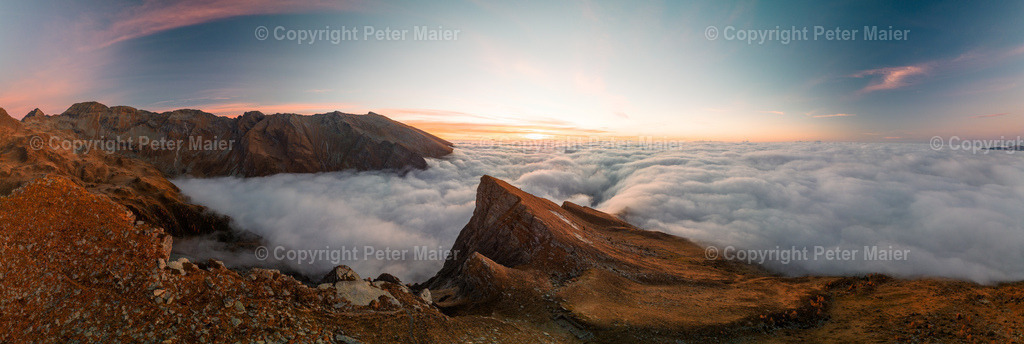 Böse_Nase-3 | piet_flosse