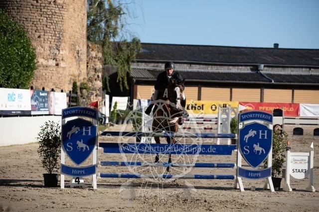 2B4A0766 | pixelfaenger - Realisiert mit Pictrs.com