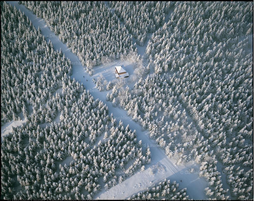 01P5319 | Skilanglauf im Thüringer Wald