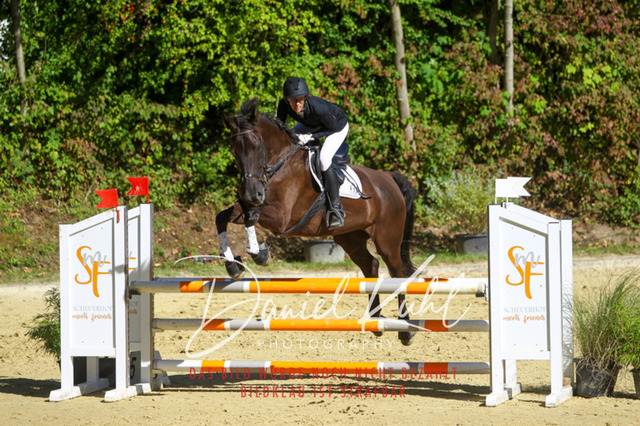 DKP43044 | Turniersportfotografie; Pferdefotografie; Dressurfotografie