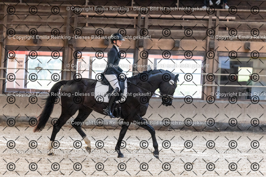 CL5A0369 | Emilia Reinking Fotografie - Realisiert mit Pictrs.com