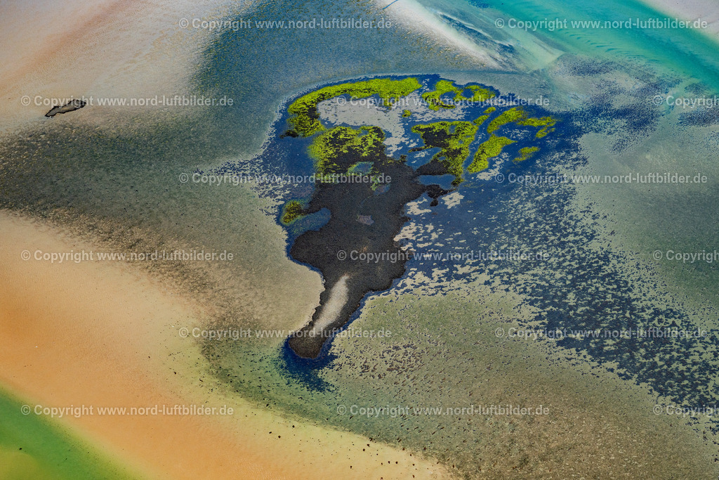 Sylt_List_Wattenmeer_ELS_8817130825 | LIST AUF SYLT 13.08.2025 Wattenmeer der Nordsee- Küste in List auf Sylt im Bundesland Schleswig-Holstein, Deutschland. // Wadden Sea of the North Sea coast in List on Sylt in the federal state of Schleswig-Holstein, Germany. Foto: Martin Elsen