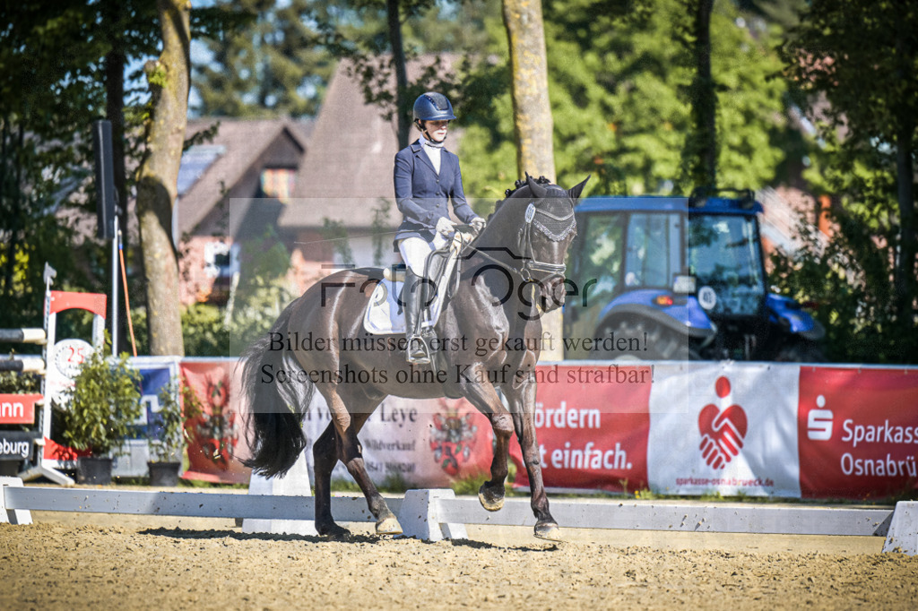DOS_6749 | Entdecke hochwertige Reitturnierfotos von Foto Oger. Professionell, emotional und authentisch – jetzt Lieblingsmomente im Shop bestellen.Deutschlandweite Turnierfotografie. - Realisiert mit Pictrs.com