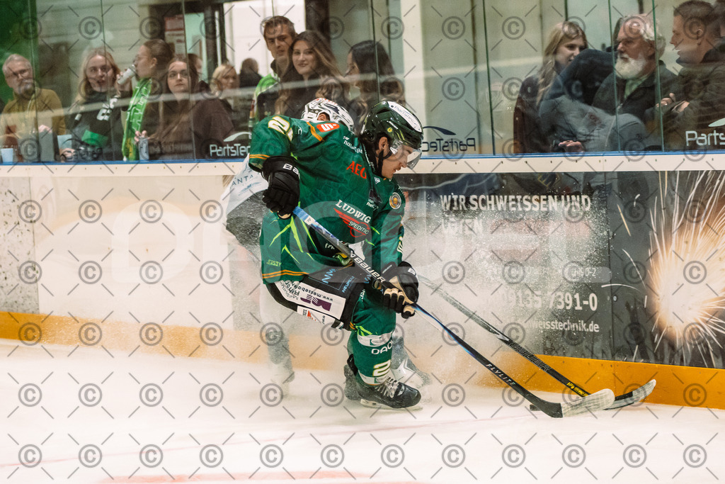 Alligatros_vs_Leipzig_11_09_2026-05 | Die Fotogalerie von Daddel: professionelle Bilder von Sport, Events und Unternehmen aus Franken. Jetzt Galerien durchstöbern und Lieblingsfotos bestellen. - Realisiert mit Pictrs.com
