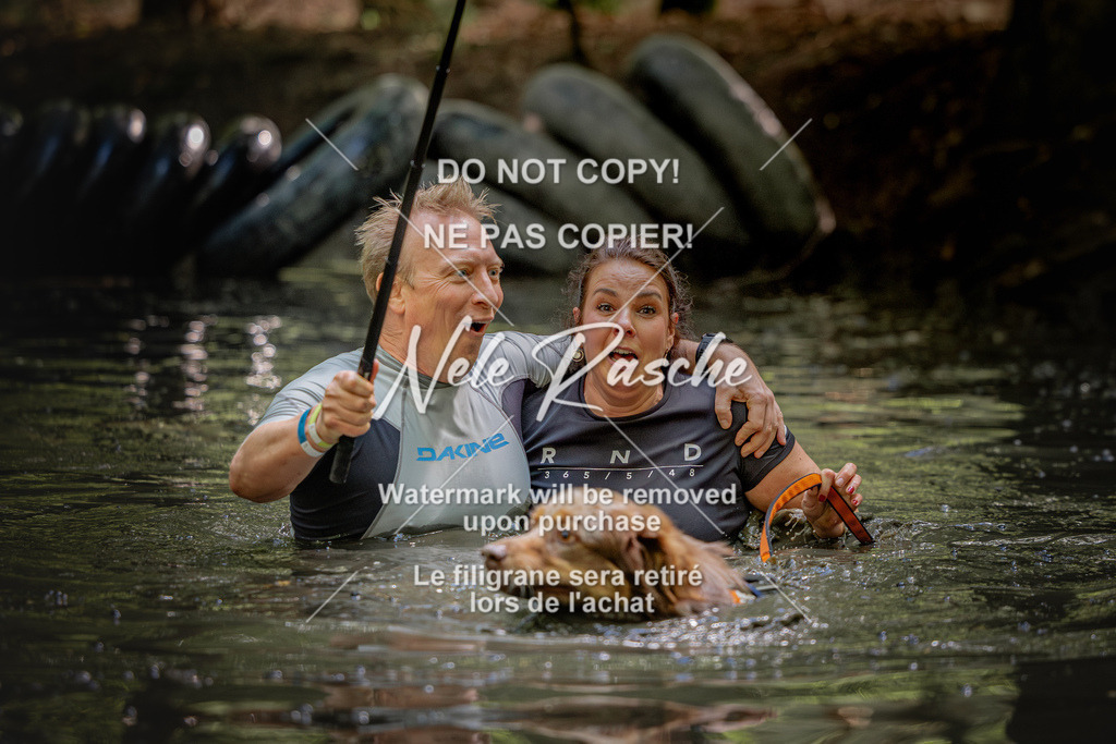 nelerasche_SaWingst1530-1600_363 | nelerasche