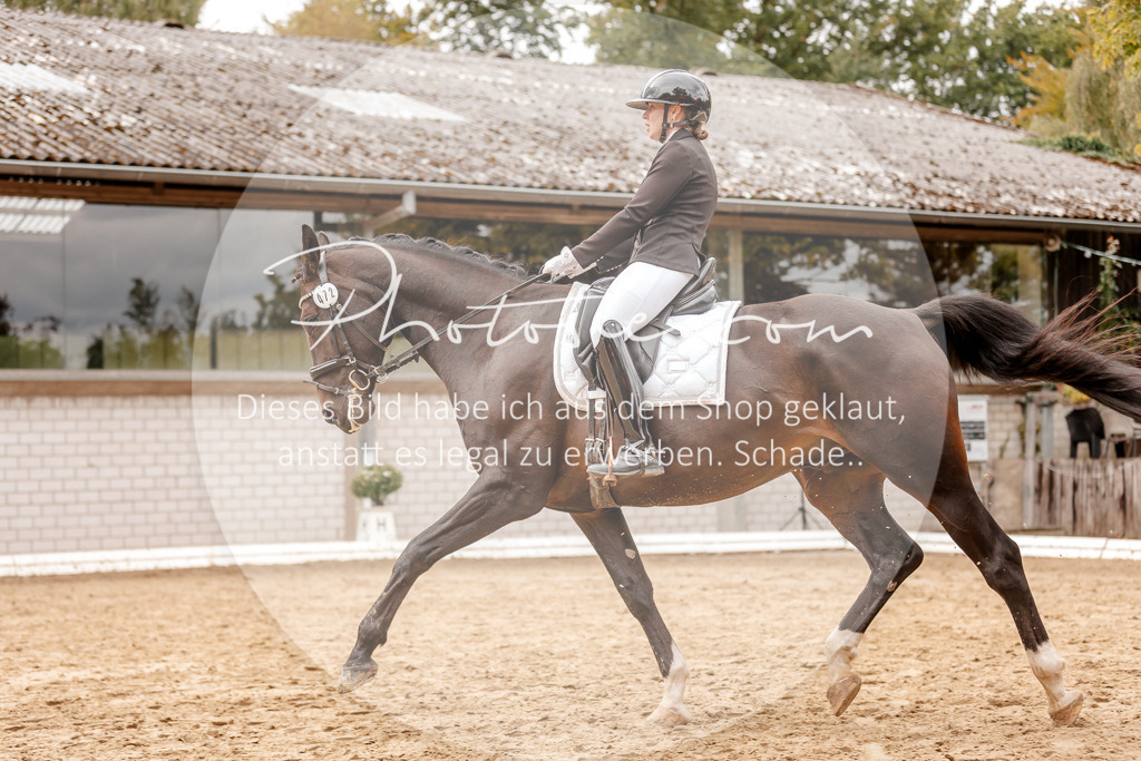 3I6A7726 | Stimmungsvolle Portraits und Reitsportfotografie im Ruhrgebiet und im Münsterland.

Pferdefotografie, Hundefotografie, Tierfotografie, Reportagen, Portraits von Tier und Mensch, Turnierfotografie in Bochum, Recklinghausen, Marl, Haltern am See, Dülmen.. - Realisiert mit Pictrs.com