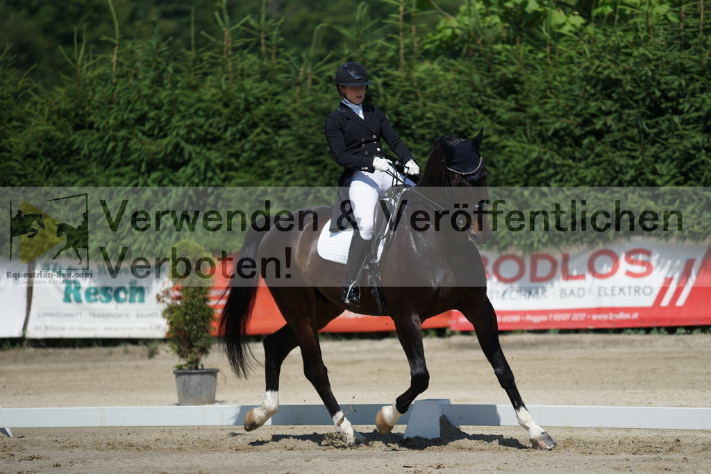 DSC03080 | equestrian-live-com