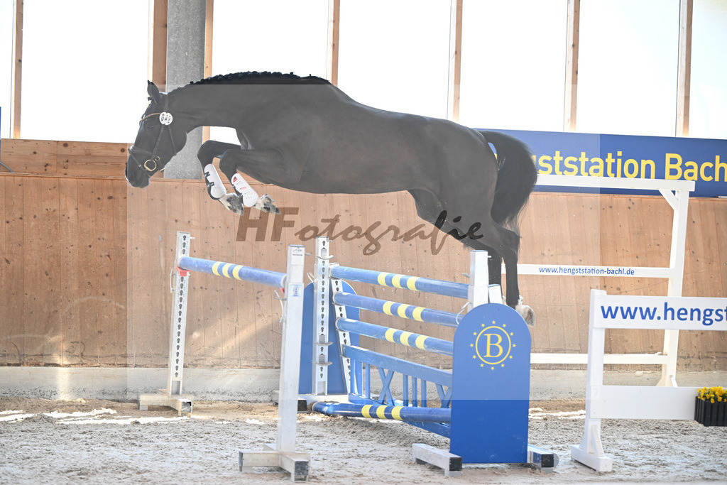 Kat-Nr. 42 I m Amy Blue VK v. I m Special de Muze_Vogelgut_14261747 | hf-fotografie - Realizzato con Pictrs.com