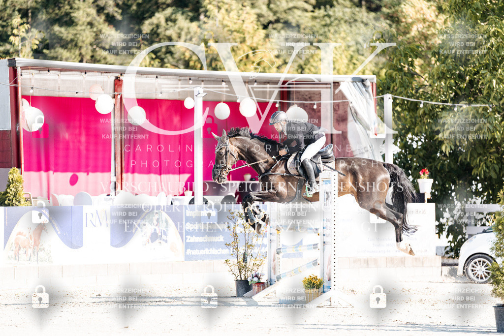 CK901900 | Turnierfotografie Pferdefotografie Trier Rheinland-Pfalz Pferdesport Reitsport Tierfotografie Sportfotografie Pferdevideo Pferdevideografie Equestrianvideography equestrianphotography  - Realisiert mit Pictrs.com
