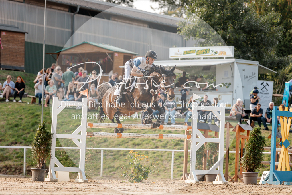 3I6A5142 | Stimmungsvolle Portraits und Reitsportfotografie im Ruhrgebiet und im Münsterland.

Pferdefotografie, Hundefotografie, Tierfotografie, Reportagen, Portraits von Tier und Mensch, Turnierfotografie in Bochum, Recklinghausen, Marl, Haltern am See, Dülmen.. - Realisiert mit Pictrs.com