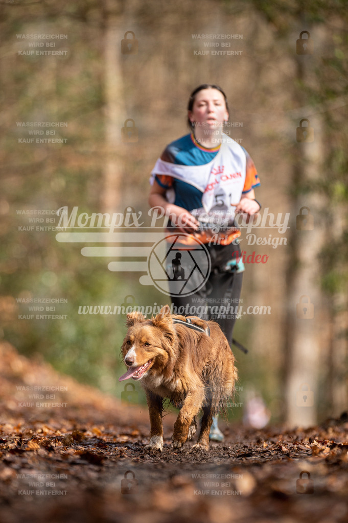 SPA_2023_DIM_CCL-181 | PayLife