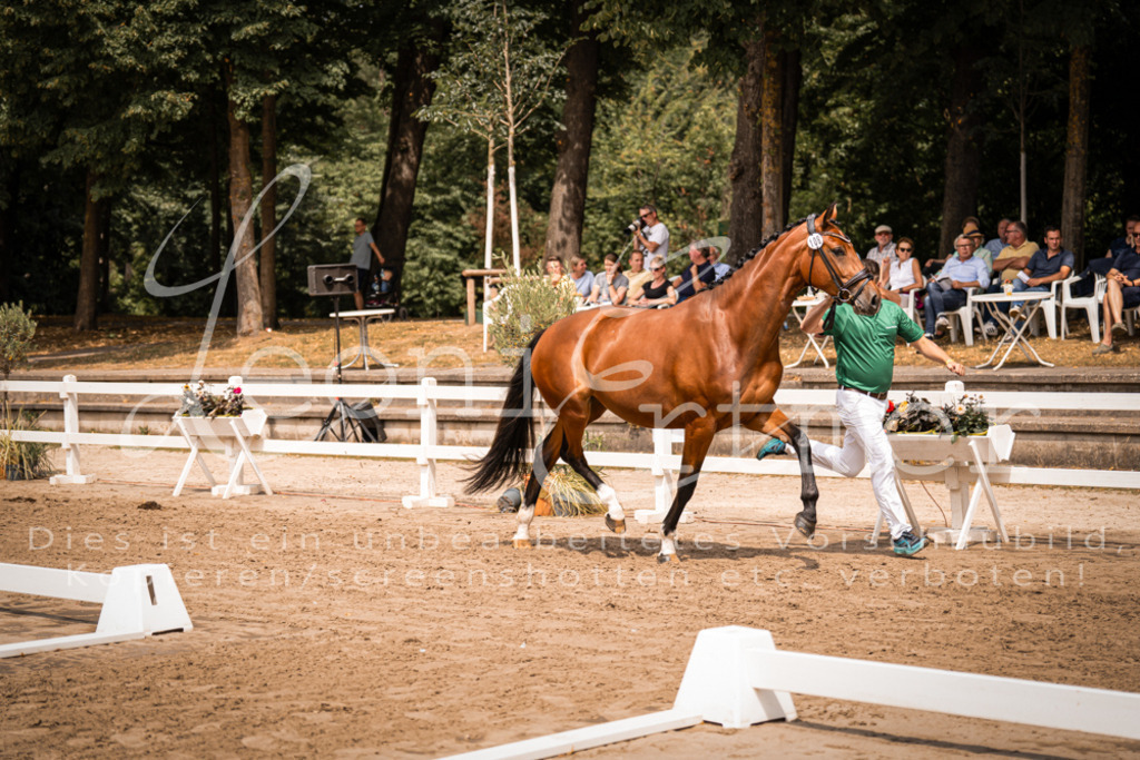 3.Fr00037 | Leoni Ertmer Photography - Realisiert mit Pictrs.com