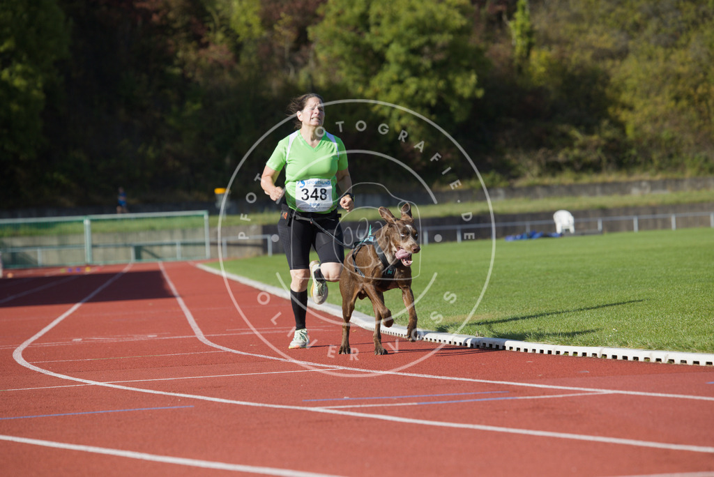 0L8A9329 | Hundefotografie, Tierfotograf, Pfotenfotografie, Fotoshooting Hund, Hunde Portrait, Hundesport, Hundeportraits, Heideshooting, Hunde, Sportfotograf, Hundefotograf, Turnierhundsport, THS,  - Realisiert mit Pictrs.com