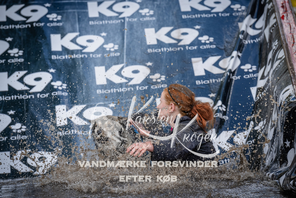 1541_ZZ90569 | kk-dogfotos