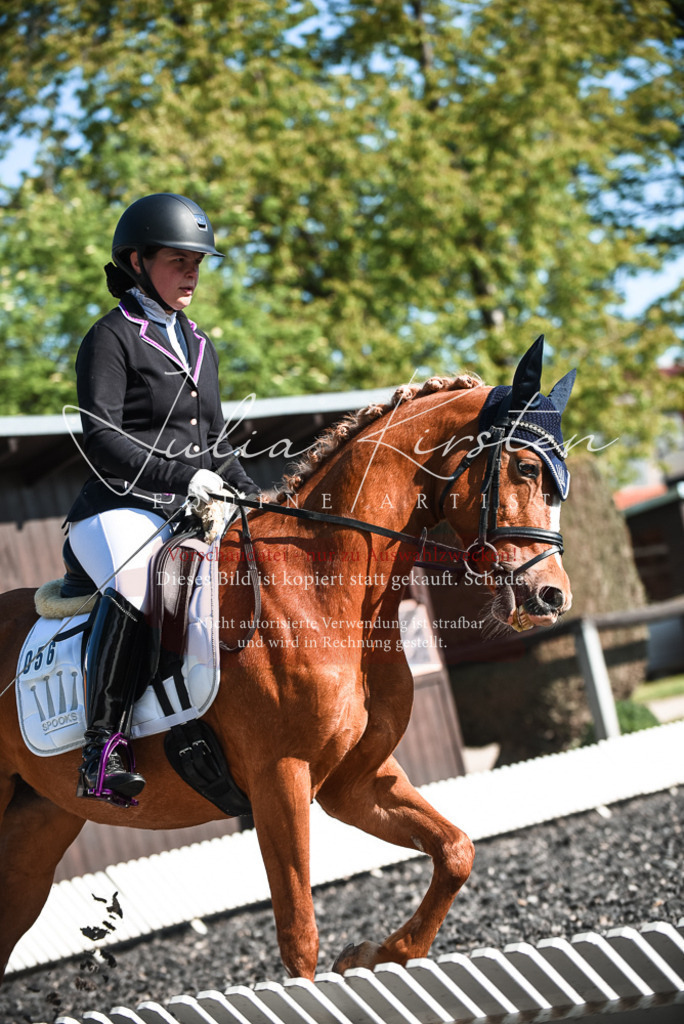 DSC_8403 | Pferde- und Turnierfotografie in Westsachsen. Pferdeportraits, Auftragszeichnungen und intuitive Kunst.