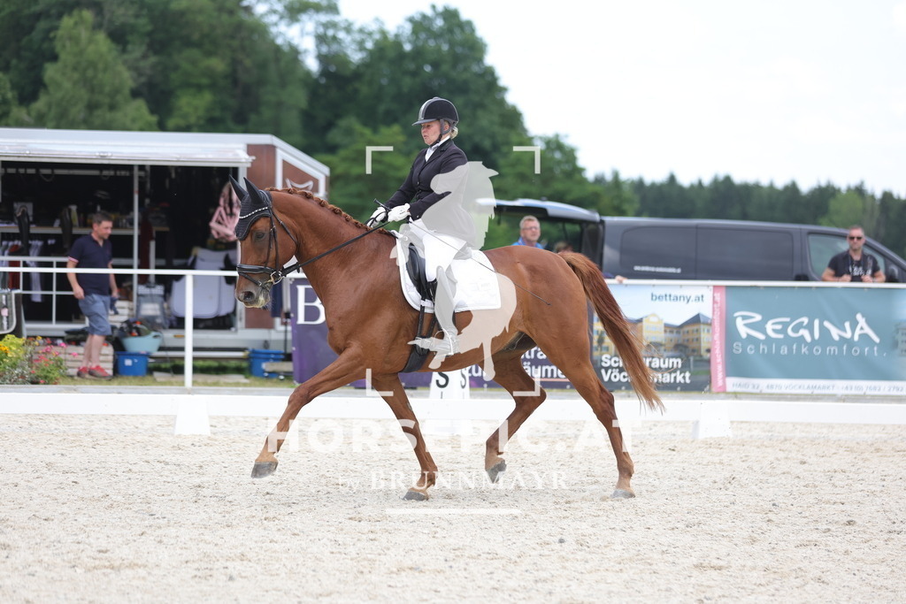 0P6A7088 | Willkommen bei Brunnmayr - Design & Fotografie – Ihrem Spezialisten für Reitturniere und Pferdeveranstaltungen in Oberösterreich, Salzburg und Bayern! Seit über 17 Jahren sind wir leidenschaftlich dabei.