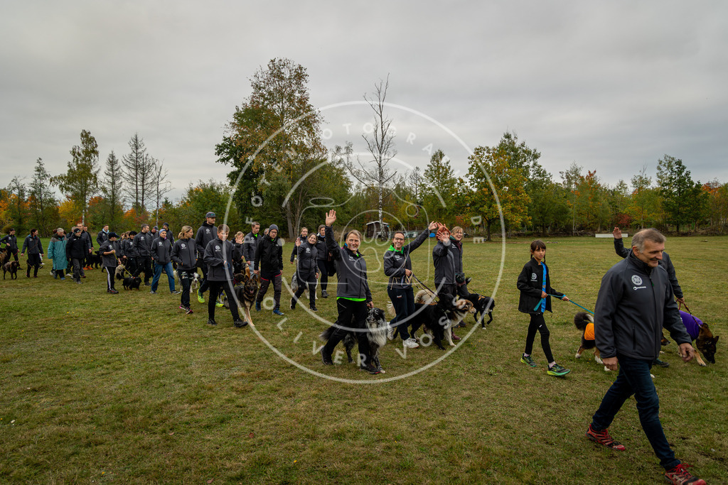 Pfotenfotografie_0L8A0223 | Hundefotografie, Tierfotograf, Pfotenfotografie, Fotoshooting Hund, Hunde Portrait, Hundesport, Hundeportraits, Heideshooting, Hunde, Sportfotograf, Hundefotograf, Turnierhundsport, THS,  - Realisiert mit Pictrs.com