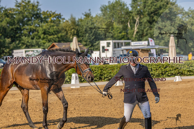 15.8.25 D1 RPF 3j (133 von 255) | mandyhollmannphotographie