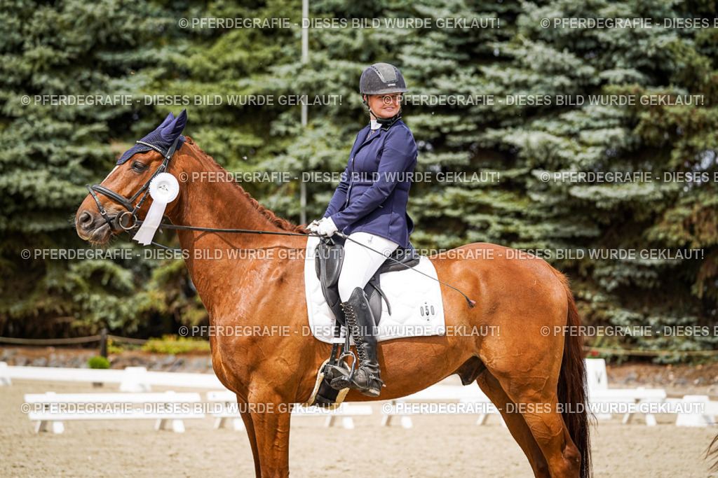 DSC04521 | Pferdegrafie