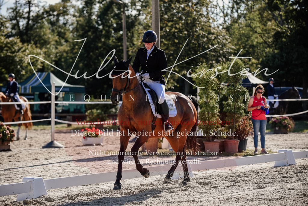 DSC_0376 | Pferde- und Turnierfotografie in Westsachsen. Pferdeportraits, Auftragszeichnungen und intuitive Kunst.