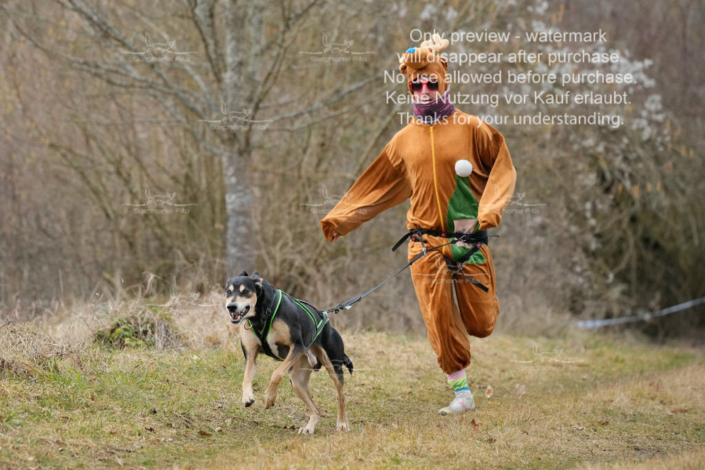 Fasching-6 | stephaniefillaphotographie - Realisiert mit Pictrs.com