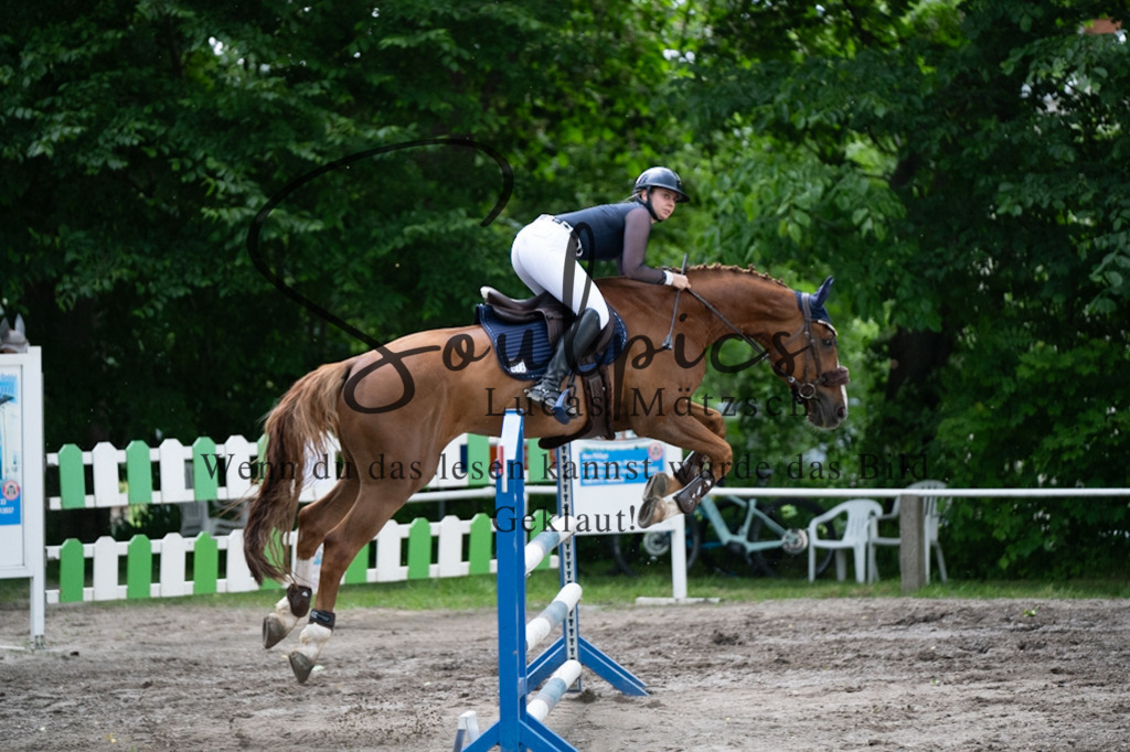 A7V04977 | Pferdefotograf