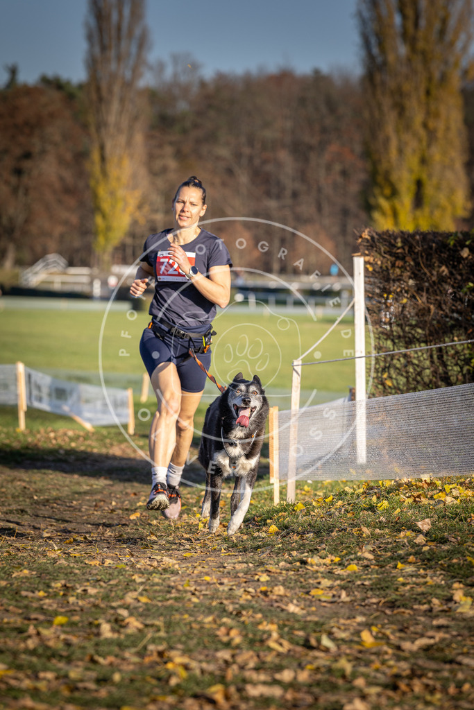 CaniXpix_DV3A1973 | Hundefotografie, Tierfotograf, Pfotenfotografie, Fotoshooting Hund, Hunde Portrait, Hundesport, Hundeportraits, Heideshooting, Hunde, Sportfotograf, Hundefotograf, Turnierhundsport, THS,  - Realisiert mit Pictrs.com