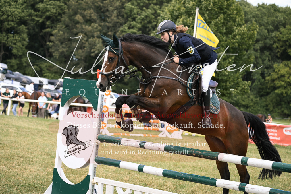 DSC_0618 | Pferde- und Turnierfotografie in Westsachsen. Pferdeportraits, Auftragszeichnungen und intuitive Kunst.